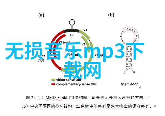 300501数字密码与安全隐喻的交织之谜