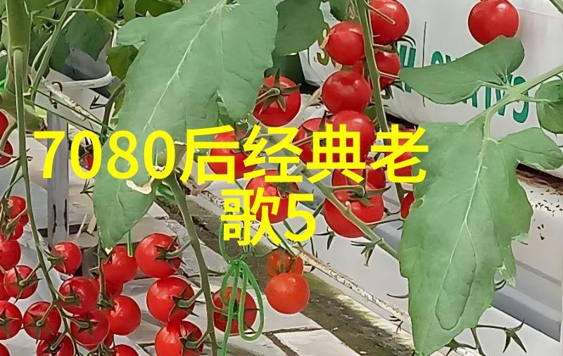 解读三元相生的奥秘八卦中的三在代表