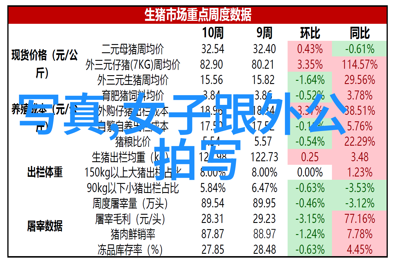 十大免费mp3网站上的粉丝如同山中的木生根发芽在811伦桑的生日会上他们疯狂应援以山有木兮的旋律献唱