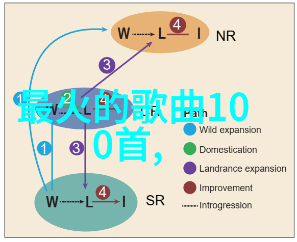 朴贤洙执导之手下描绘青春梦想与社会批判专访影帝金宇彬和李知利