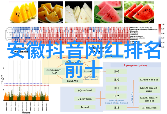 鸭脖娱乐翘首期盼的夜空之星