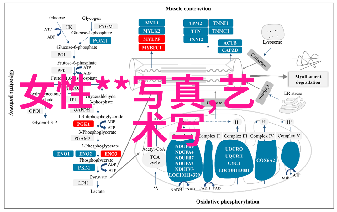 方块娱乐研究探索数字空间中的交互体验与文化影响