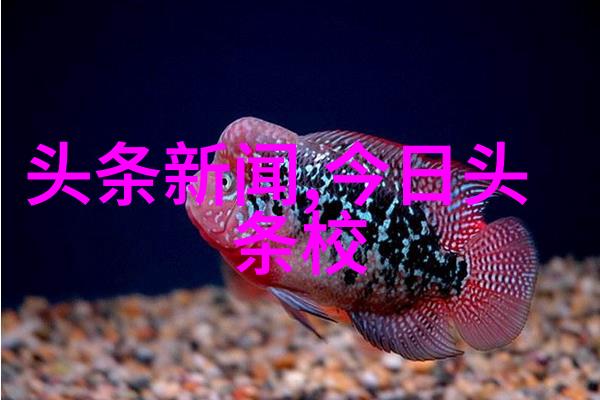 西门庆在水浒传中扮演了哪些角色呢