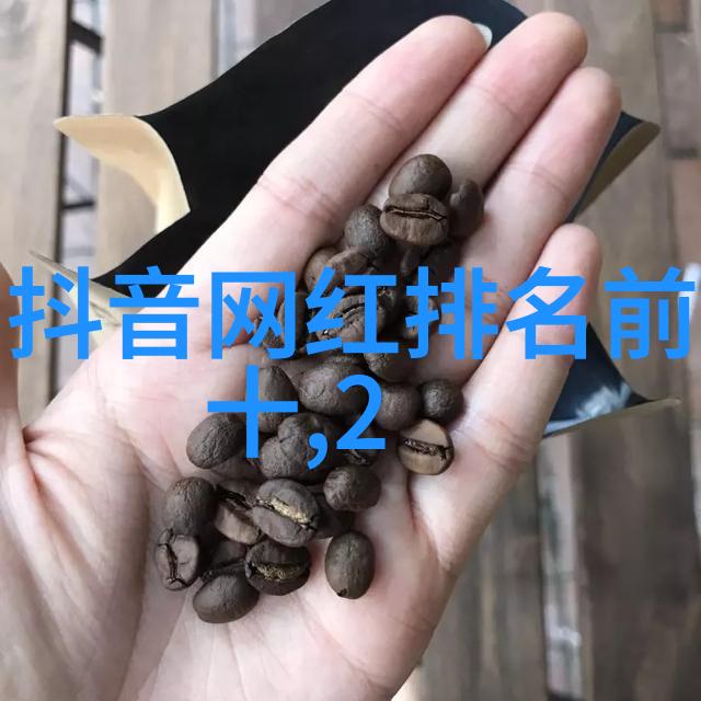 综艺大哥大的成功秘诀参与感与互动力