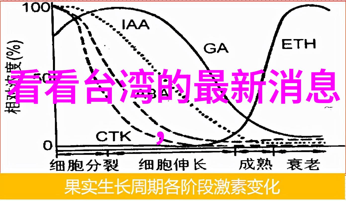 才不要和老板谈恋爱 电视剧 - 职场禁忌老板与员工的秘密情缘