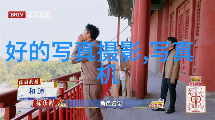 时代少年团综艺节目-时代少年团的娱乐世界探索他们在综艺中的亮眼表现