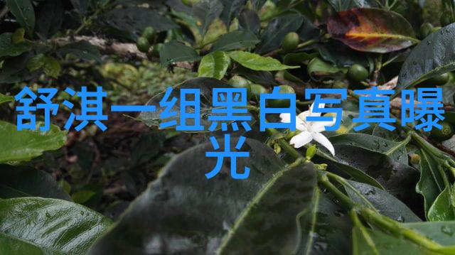 咬春饼失重的甜蜜与追忆