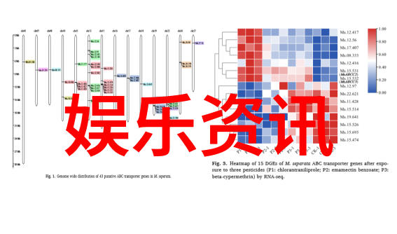 TCL Q10G再升级的亮点反复提及其值得期待之处