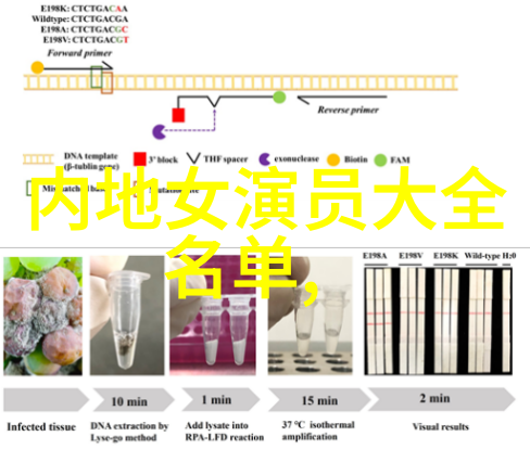 网红雪梨办了婚礼吗 - 甜蜜告白网红雪梨的浪漫婚礼秘密