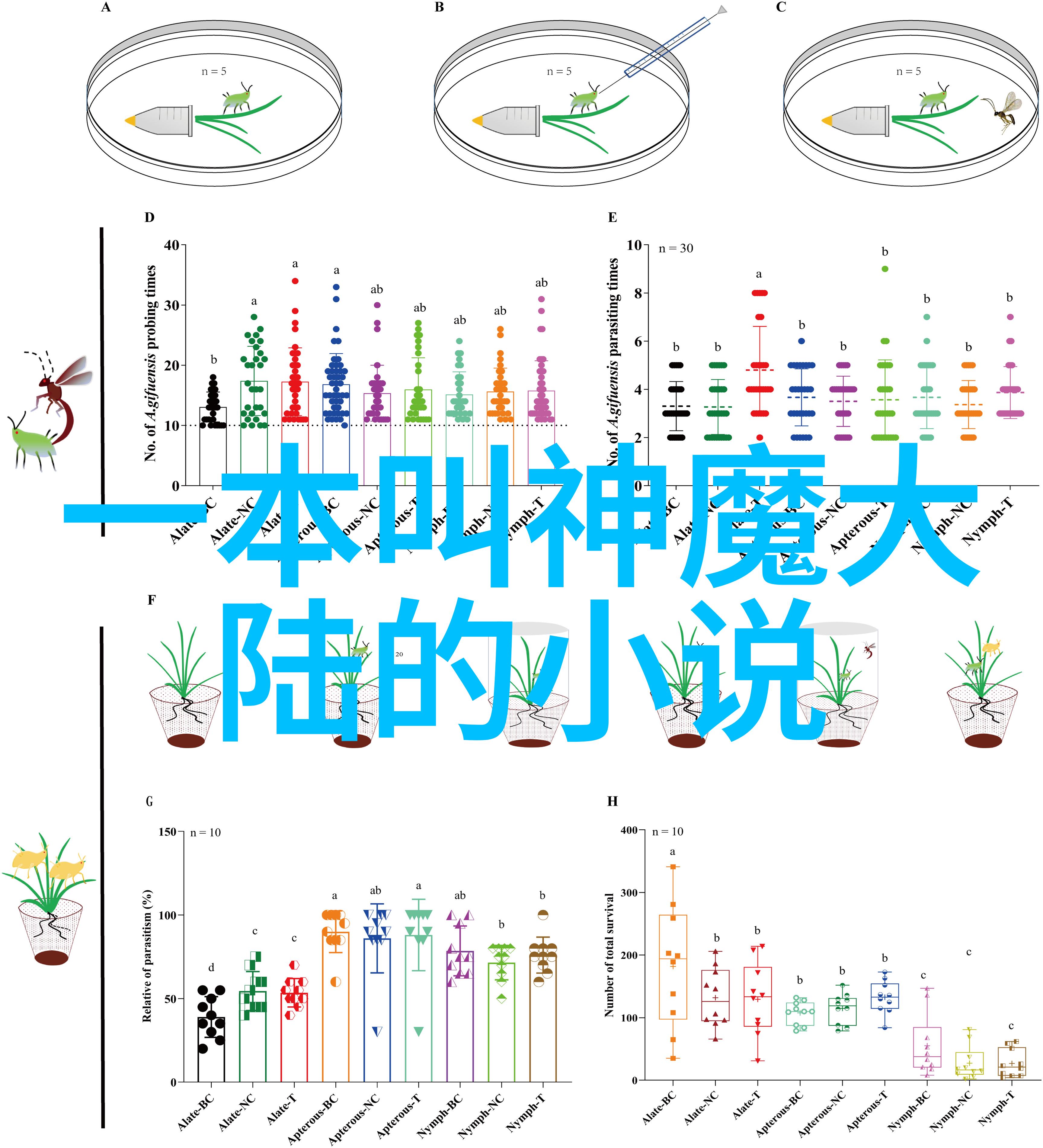 准备先对敌人开火的战术演习