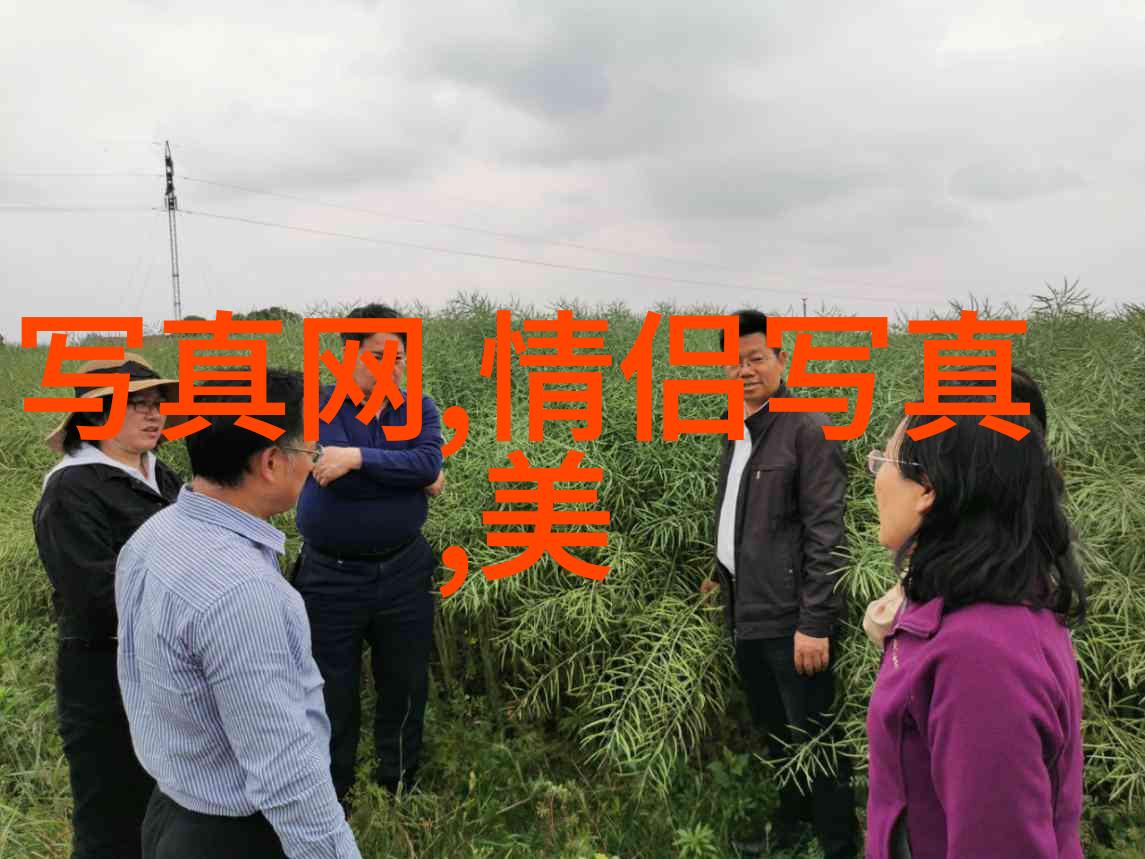 北京时尚驾校引领道路新风潮