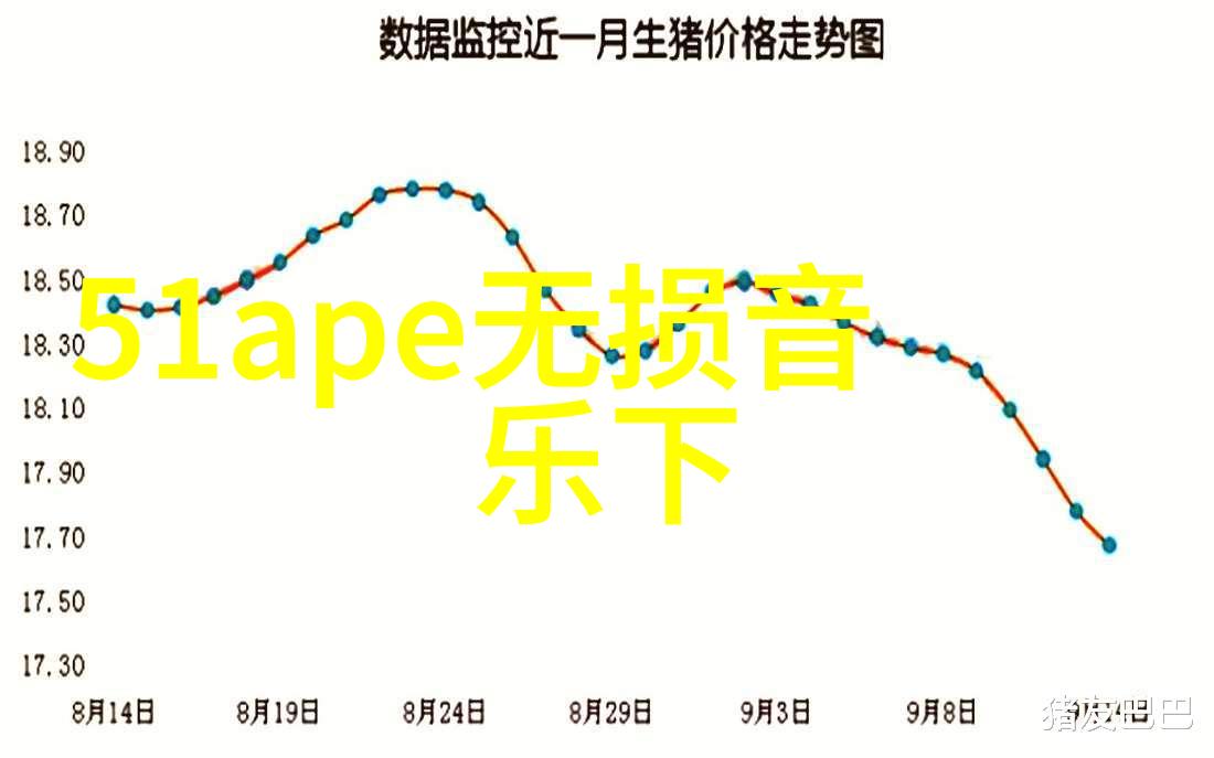 电影与电视-麻花影视绽放的艺术之光