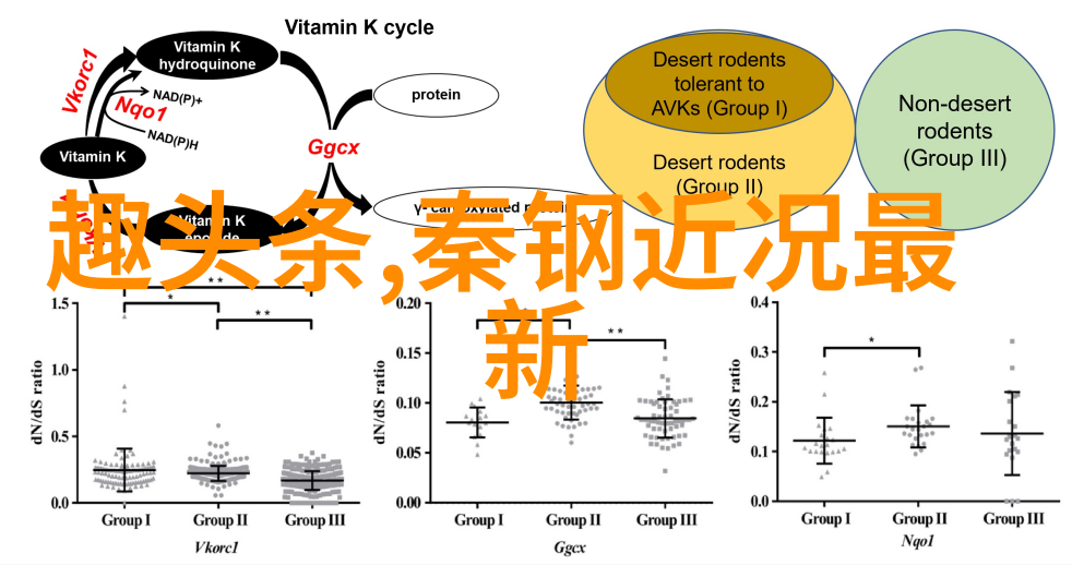 惊喜先生鼓鼓说到做到 允诺歌迷每延一次就加码一次惊喜