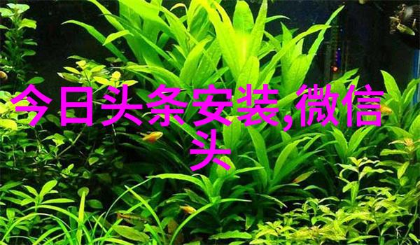 镜中花影Rosi的写真故事