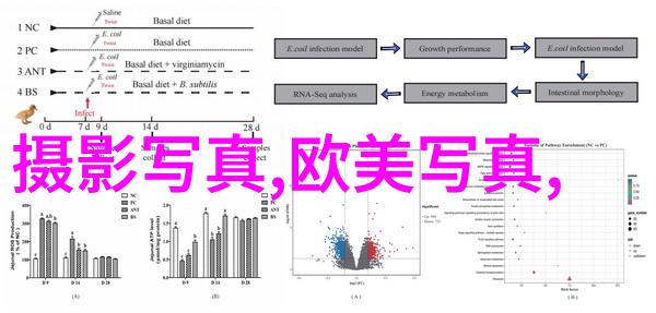 大海影视我的电影梦想在这片蔚蓝的大海边