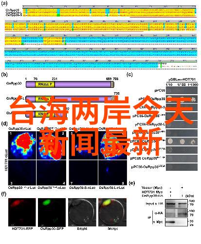 易经智慧深入理解八卦所对应的五行属性