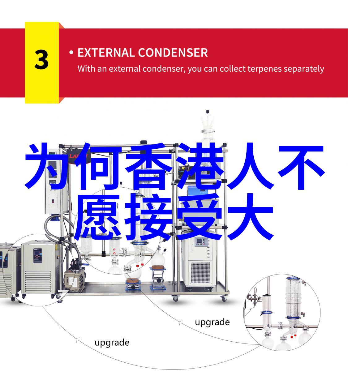 耳洞笙离探索传统文化中的穿孔艺术