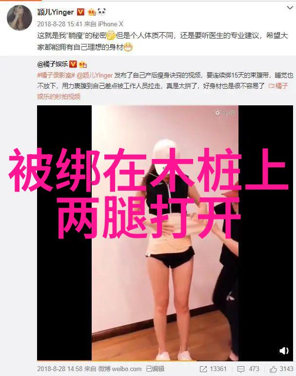 真实再现摄影与视频艺术的融合之美