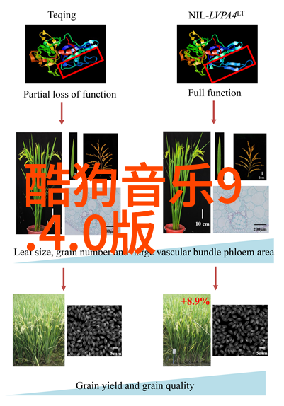 高清大图头像选取指南