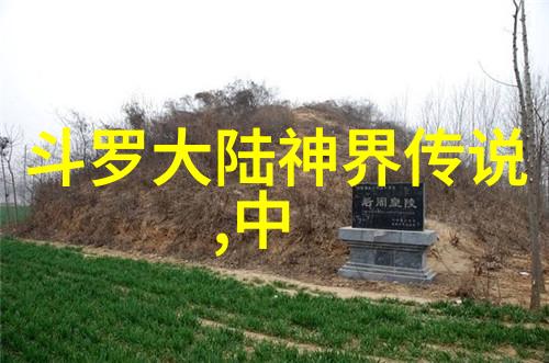 网红生活-网红雪梨脸垮了美妆博主失去光泽的秘密原因与重建计划