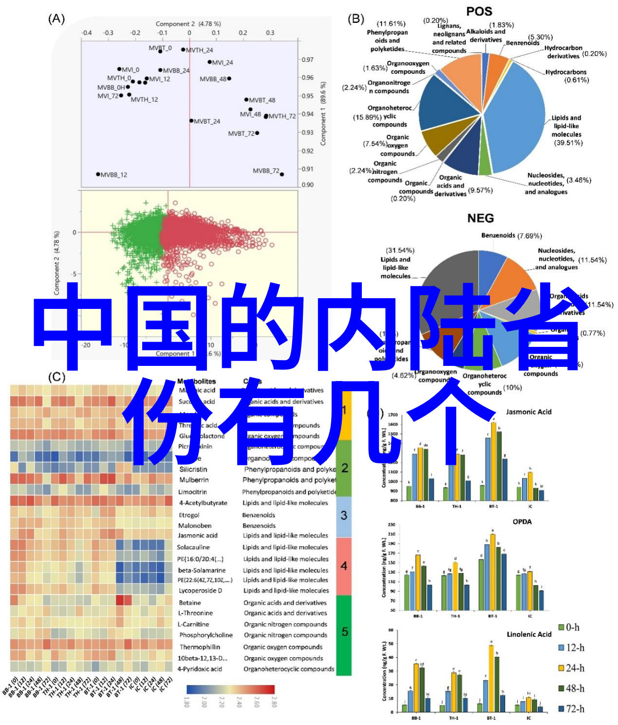 多多影视我在追剧的旅途中遇见了它