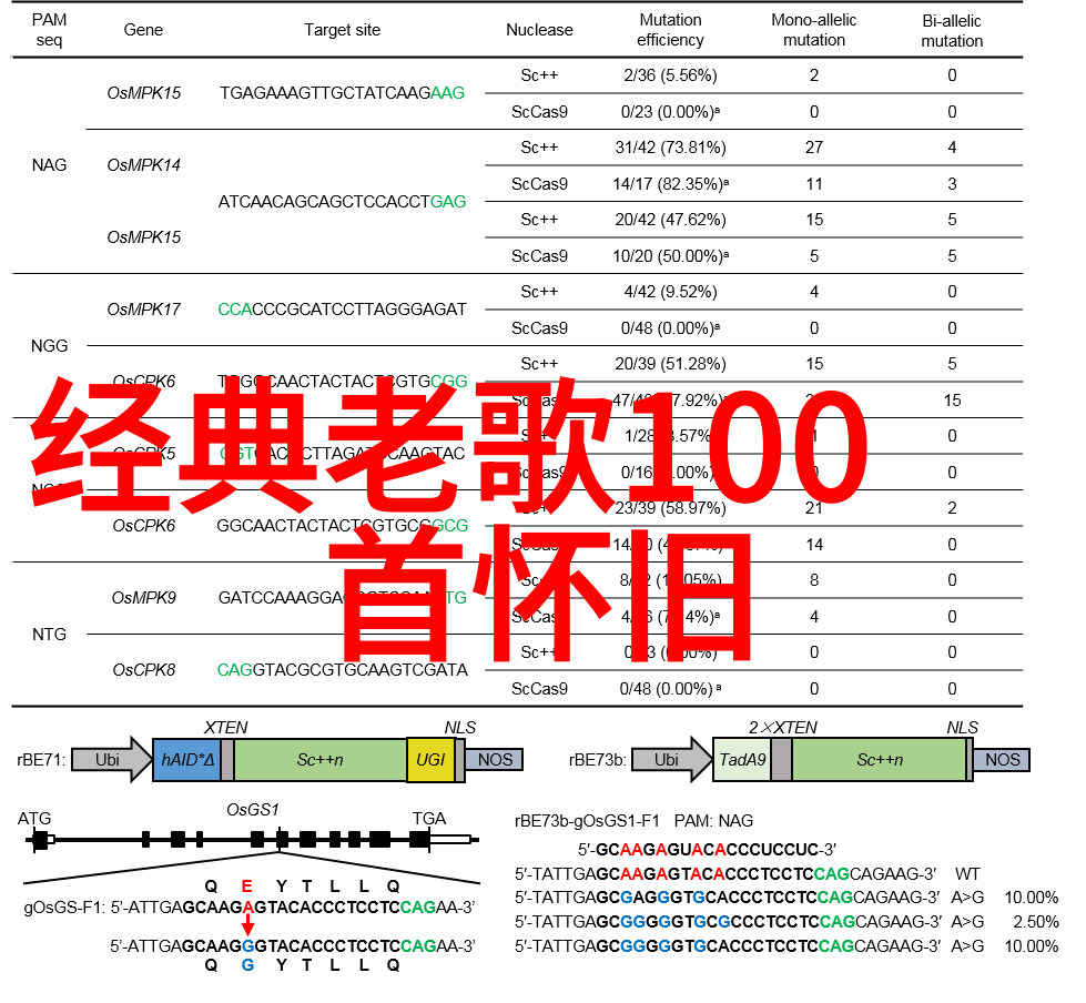 丁子玲一旦开战最危险的城市是哪个