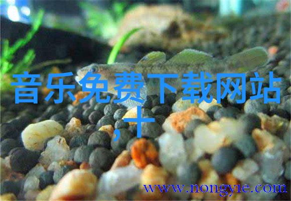 ROG与ACRONYM174携手算八字最准的免费网站ROG幻X-ACRNM RMT02共同启程为数字