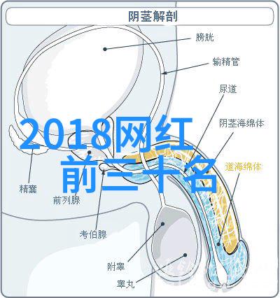 岛光闪耀台湾的现代奇迹