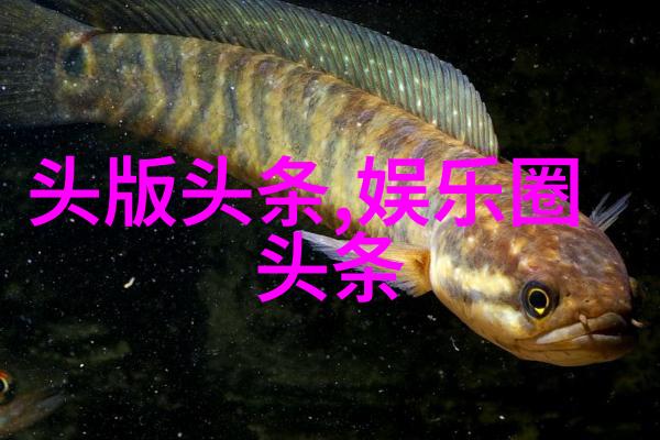 时尚发型新趋势创意剪裁重塑头饰风格