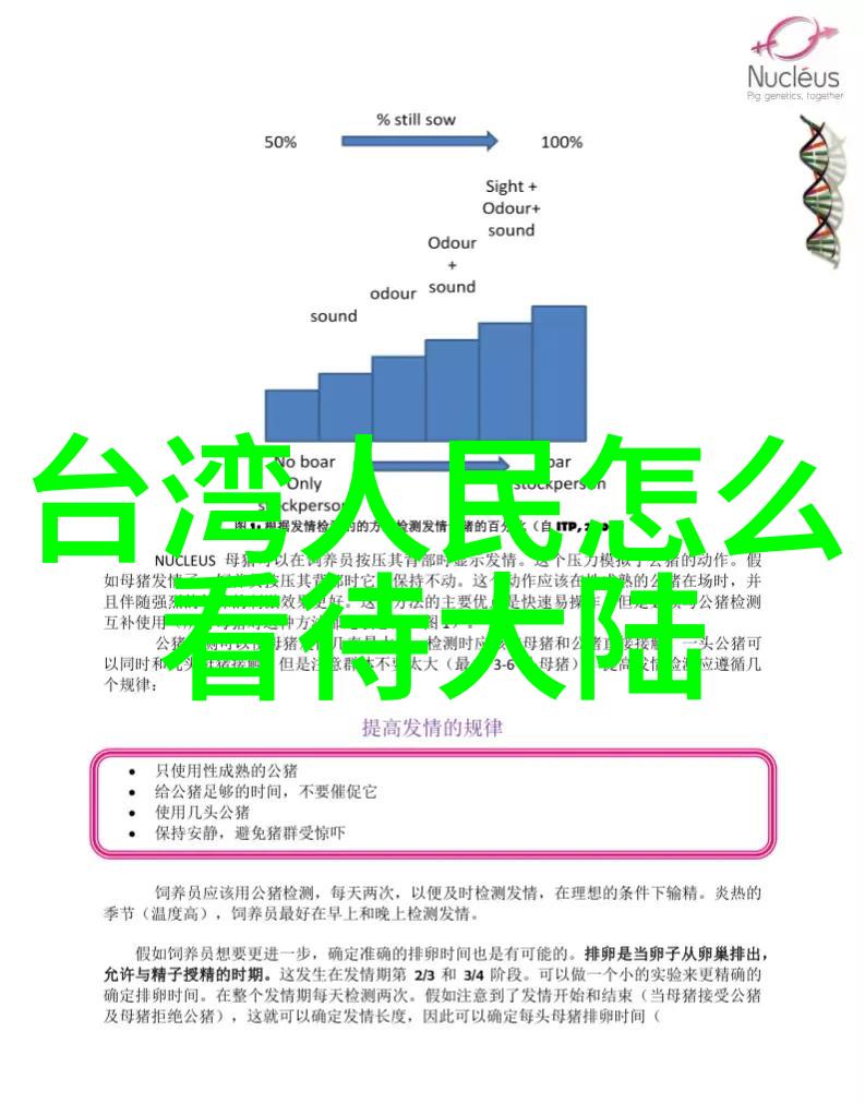 在考虑到成本效益分析的情况下我是否能找到经济实惠但仍然提供相同性能水平的一种替代品