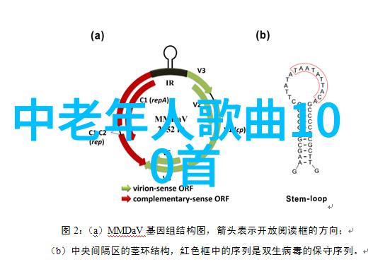 421明星爆料文件揭秘娱乐圈最大的隐秘资料库