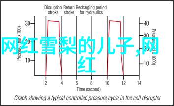 家风传承探秘我岳父的武术之道