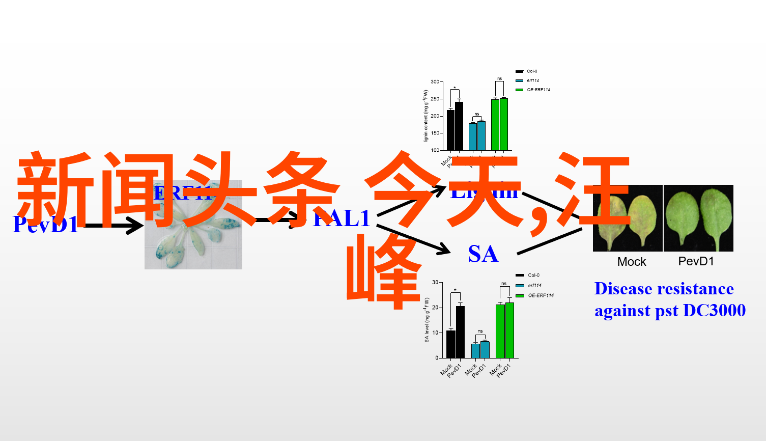 音乐天堂无损音悦免费下载馆