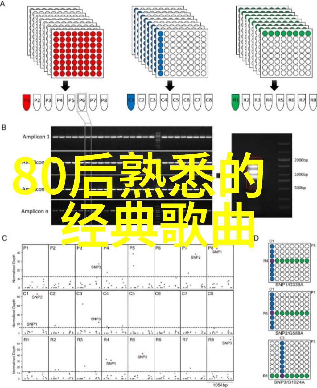 EXO将推出新节目 神话成为首期嘉宾