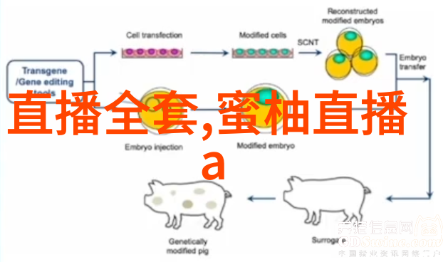 可约可空降直播app下载我来告诉你一个超级便捷的秘密