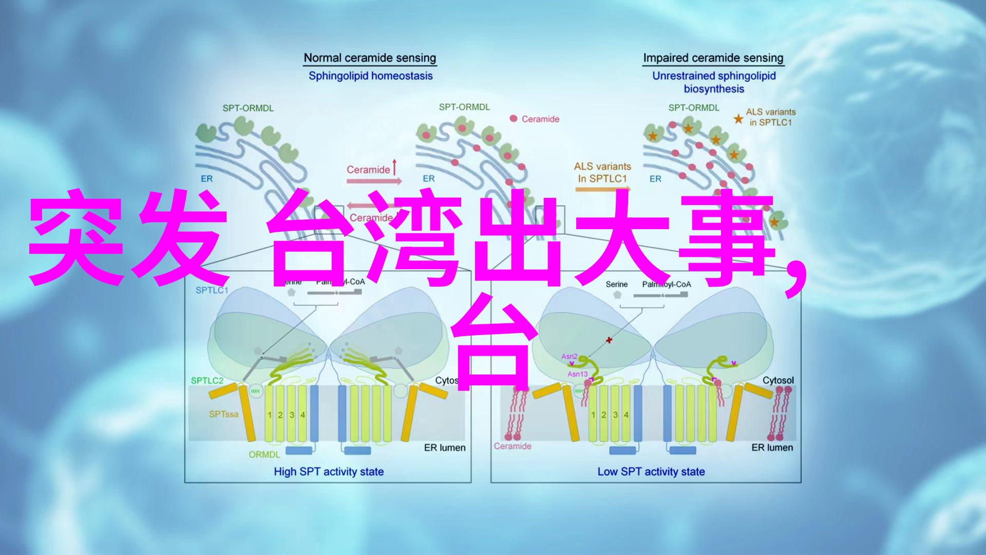 檀健次参加的综艺节目我和檀健次一起开心地在综艺上放松