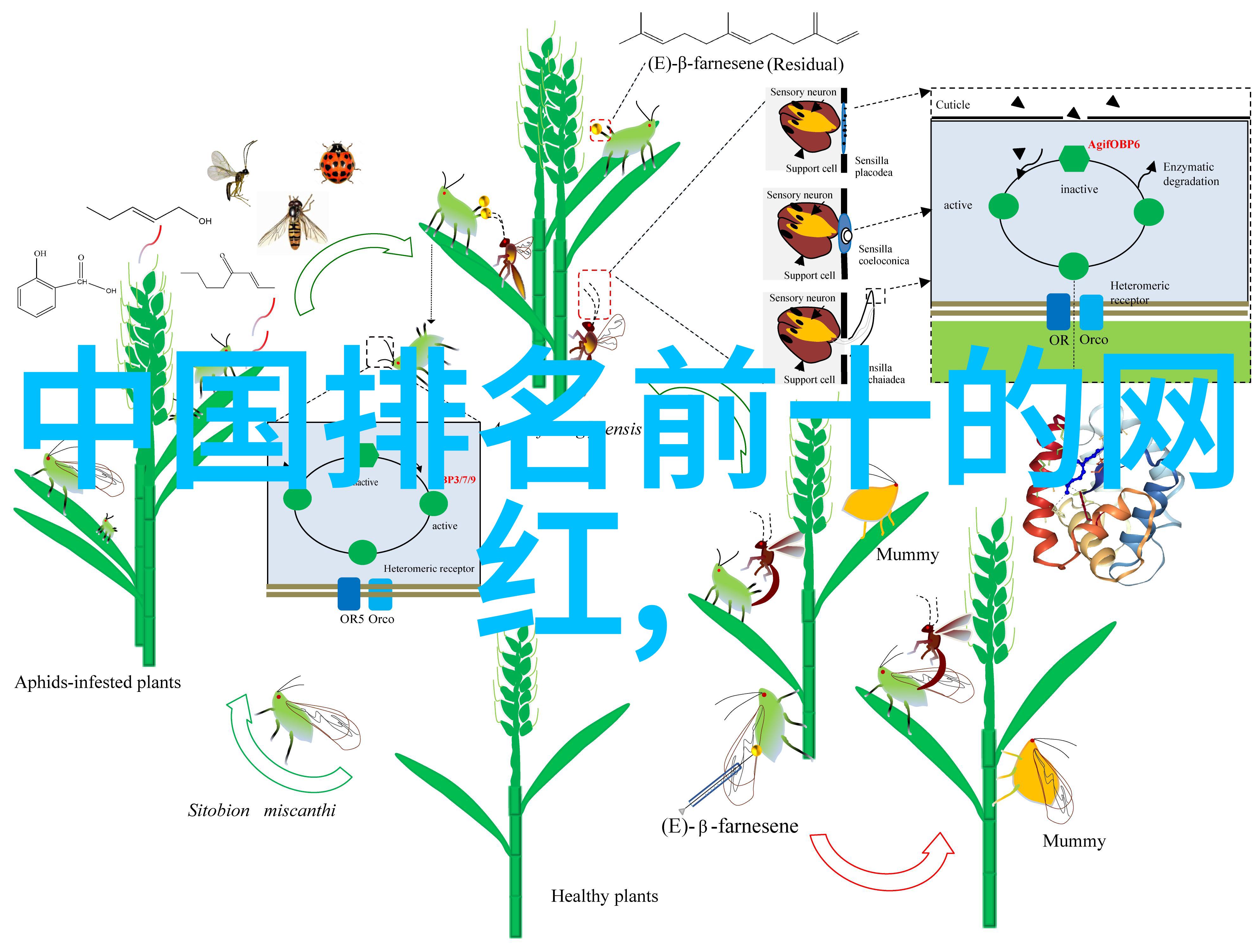 主题我发现了曲库最全免费的音乐网站