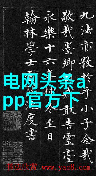 使用黑色的笔触绘制在白底上的作品有什么独特之处