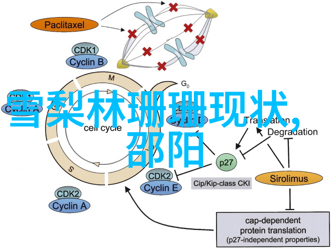 激情燃烧的运动场与扑克桌免费网站探秘