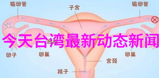 女生说男生八卦刘畊宏一夜成名明星们纷纷追捧他的健身秘籍