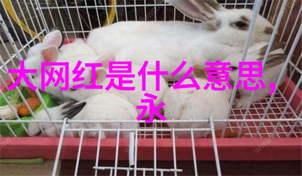 写真视频捕捉瞬间的艺术与真实