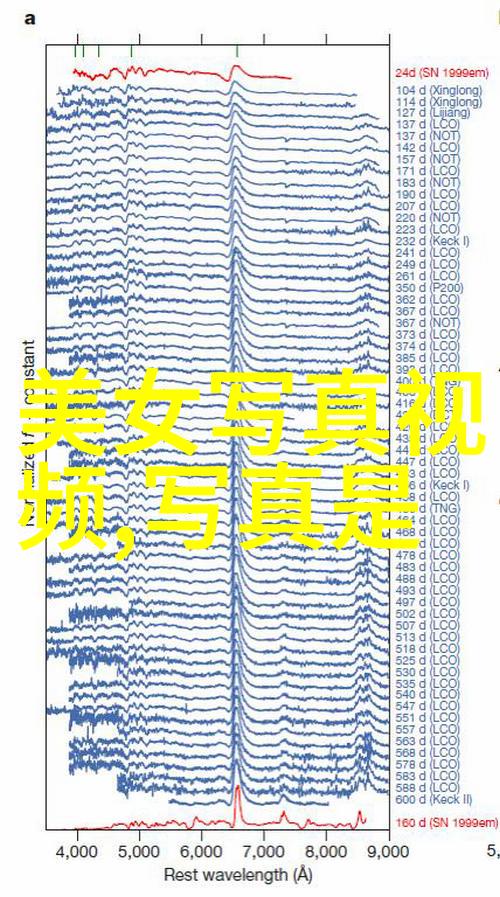 最美的时光综艺温馨回忆录