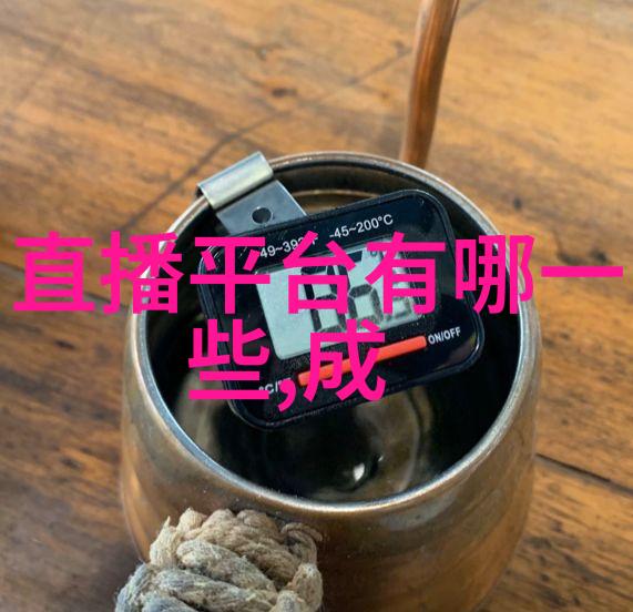 子望与王思聪的恋爱综艺背景一站到底探秘其关系分析