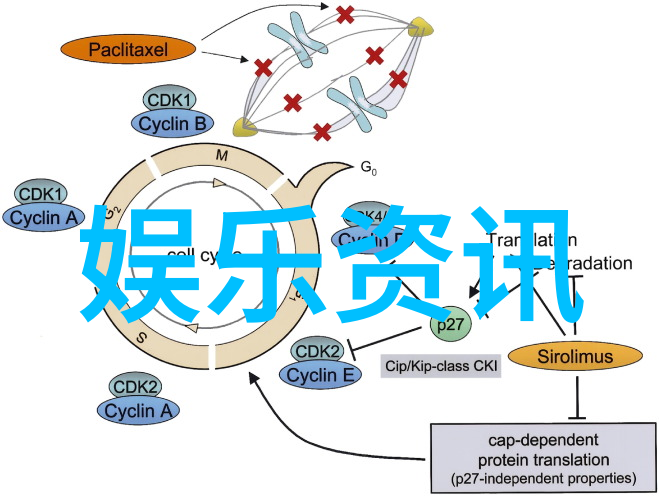 大陆漂移的奥秘探究地质时钟与古生物分布的证据