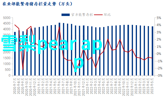 演出娱乐八卦我的星光大赏