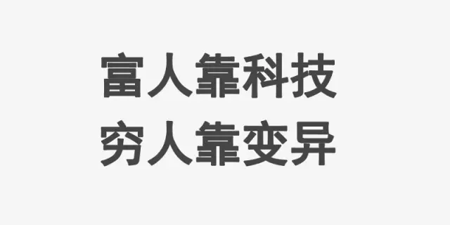 红网论坛_网红_红网官网/